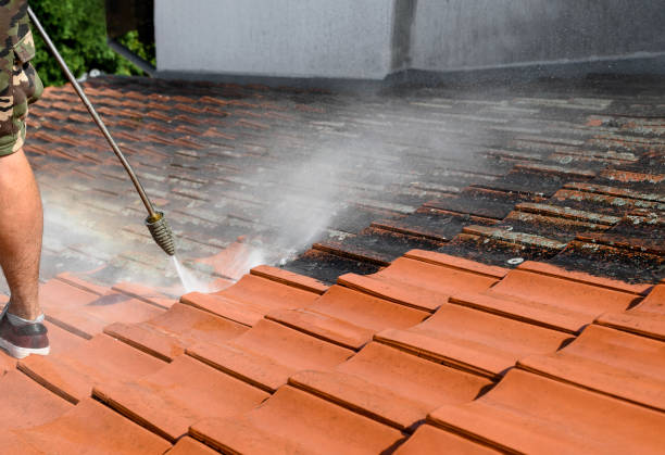 Best Pressure Washing Siding  in Memphis, TX